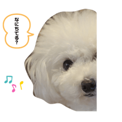 [LINEスタンプ] ひなちゃんときどきももちゃん