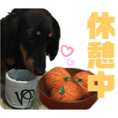 [LINEスタンプ] ダックスフント犬まろろNO2