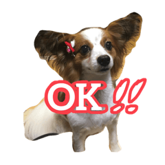 [LINEスタンプ] 渕上コロンスタンプ