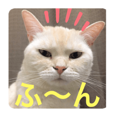 [LINEスタンプ] ミヌエットのしずく②