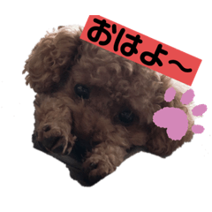 [LINEスタンプ] わんわんの気持ち