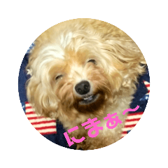 [LINEスタンプ] ぁらら