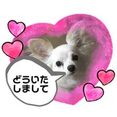 [LINEスタンプ] はっぴいと一緒