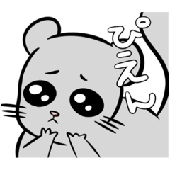 [LINEスタンプ] 黒猫にゃんことチンチラちゃちゃまる＋α