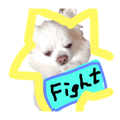 [LINEスタンプ] ブサかわチワワん