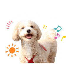 [LINEスタンプ] えるあろスタンプ❤️
