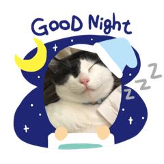 [LINEスタンプ] やんくんです