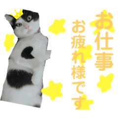 [LINEスタンプ] やんくん
