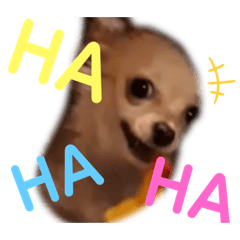 [LINEスタンプ] sherichan stamp❥︎