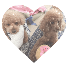 [LINEスタンプ] ♡alma toffee♡