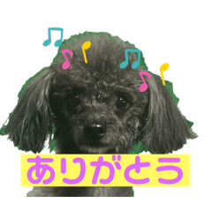 [LINEスタンプ] チワプーのぐり