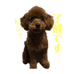 [LINEスタンプ] ライちゃんの可愛いスタンプ