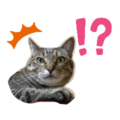 [LINEスタンプ] 田中家の華2