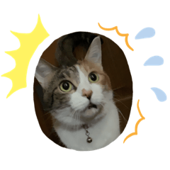 [LINEスタンプ] アベポンスタンプ
