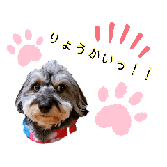 [LINEスタンプ] マルックス☆ラルフくん