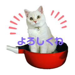 [LINEスタンプ] ミヌエットのしずく⑥
