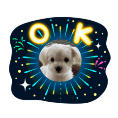 [LINEスタンプ] マルチワのルクちゃん
