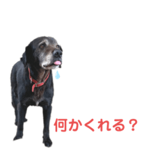 [LINEスタンプ] まるべん