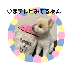 [LINEスタンプ] ぴろちゃろ☆こうちゃろ日常2