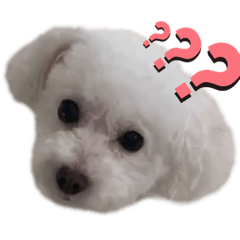 [LINEスタンプ] Ron ＆ Maple