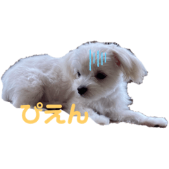 [LINEスタンプ] マルチワのルクちゃんpart2