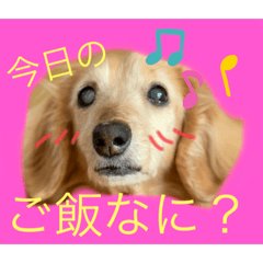 [LINEスタンプ] まゆかれんスタンプ