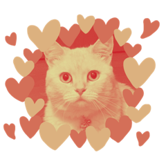 [LINEスタンプ] しずくねこ④