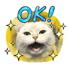 [LINEスタンプ] しずくねこ③
