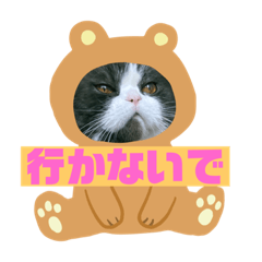 [LINEスタンプ] まるとるい