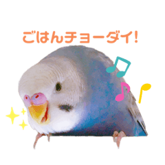 [LINEスタンプ] 家のセキセイインコ達①