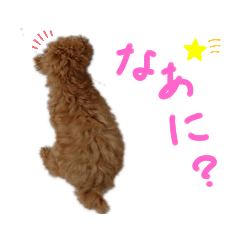 [LINEスタンプ] ティナのスタンプ5