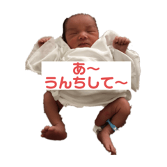 [LINEスタンプ] 本田華babyスタンプ