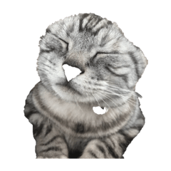 [LINEスタンプ] 僕の鼻どこ？