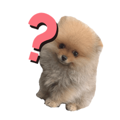 [LINEスタンプ] ポメチワ ワンコ