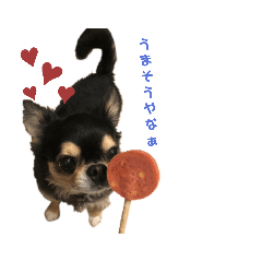 [LINEスタンプ] ガンコとアラコ❤️