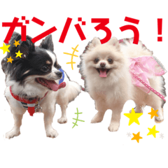 [LINEスタンプ] 小林animals vol.1