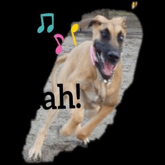 [LINEスタンプ] 大型犬の子供