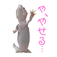 [LINEスタンプ] あむちゃん ①