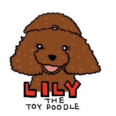 [LINEスタンプ] LILY the Toy Poodle