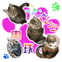 [LINEスタンプ] ニャンビレッジ肉球