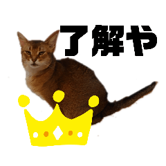 [LINEスタンプ] ライこなつ