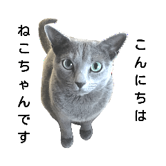 [LINEスタンプ] たろうるなでっしゃろ