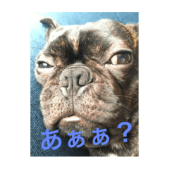 [LINEスタンプ] てつの日常生活2