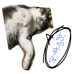 [LINEスタンプ] ねこちゃんといぬくん