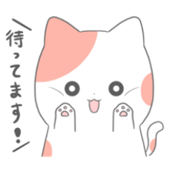 [LINEスタンプ] 毎日使えるキュートな猫スタンプ