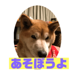 [LINEスタンプ] 奈々ちゃんの思い出