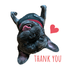 [LINEスタンプ] dog ぷてぃ