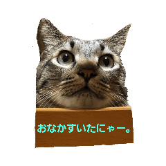 [LINEスタンプ] yurishi3
