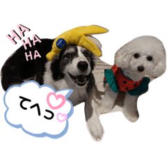 [LINEスタンプ] 今日のももひな