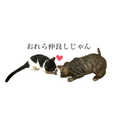 [LINEスタンプ] 俺らのねっこ